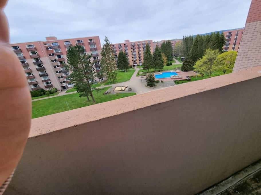 Ferienwohnung Altenau Im Harz, Hunde Zewnętrze zdjęcie